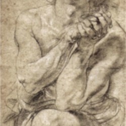 Study of Daniel in the lion s den by Rubens